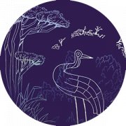 Illuminated gardens
at the Palace of the Kings and Queens of Mallorca