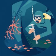 Parc national des Calanques